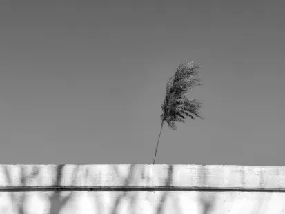 King Casino App Mobile